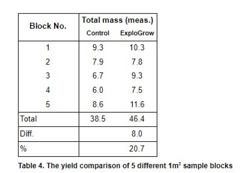 Beetroot Increased Yield Graph 2