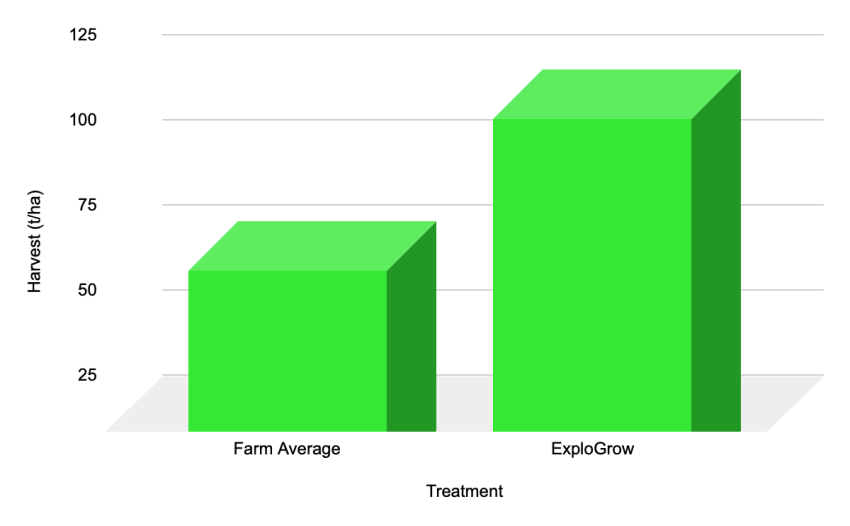 Butternut yield dramatically increased with bio-fertiliser