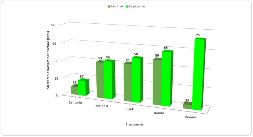 Carrot Yield And Quality Improves With Explogrow Organic Bio Fertiliser