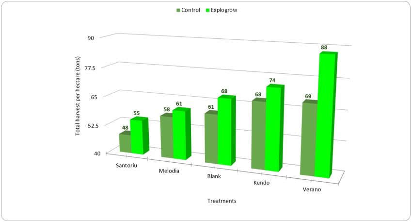 Carrot Yield Improves With Explogrow Organic Bio Fertiliser