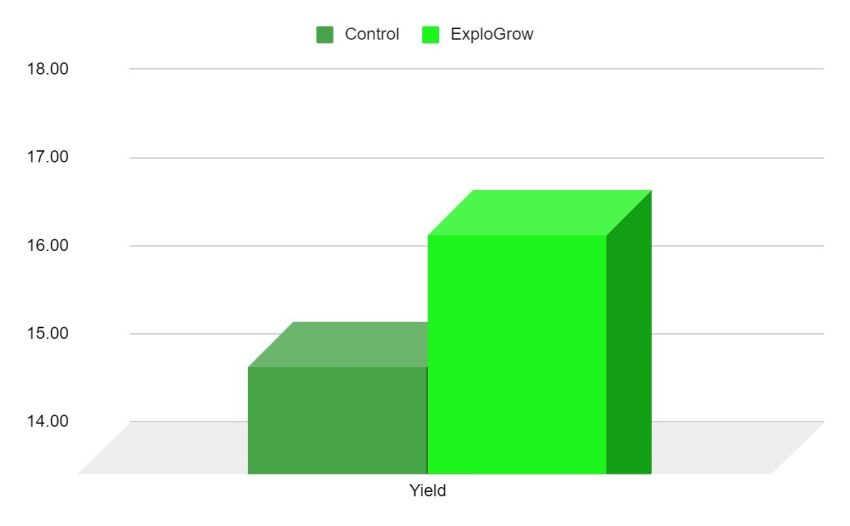 Harvest Data From No Till Maize Trial