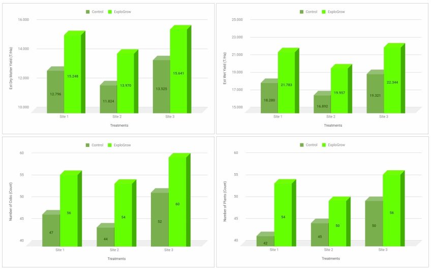 Maize Yield Harvest Record Yield Result With Explogrow Raw Data