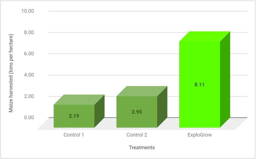 Maize Yield Organic Bio Fert Harvest Record Yield Tons Per Ha Chart Data Final