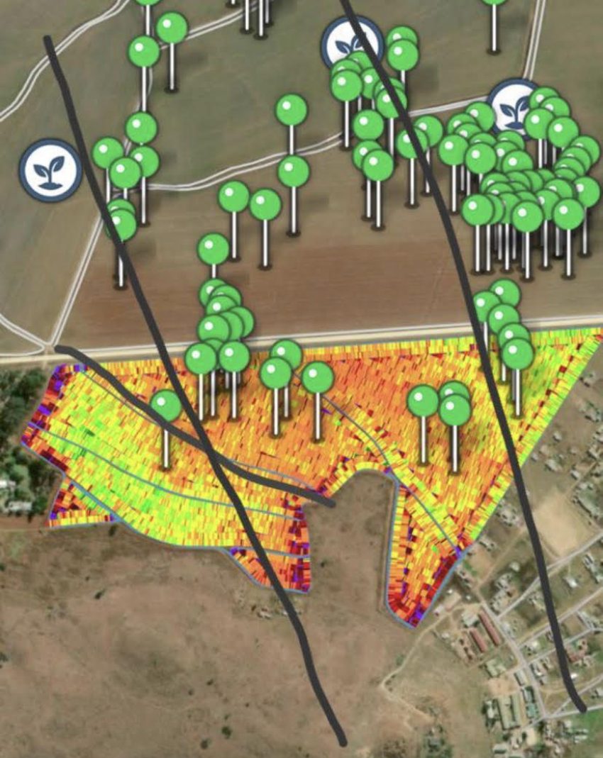 Soya Hail Damage