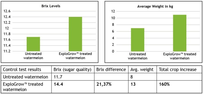 Watermelon Yield And Brix Increase Graph