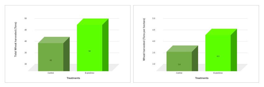 Wheat Yield Increased Tons Per Hectare With Explo Grow During Youth Development Farm Trials